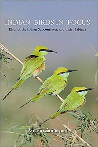 File:Indian Birds in Focus.jpg