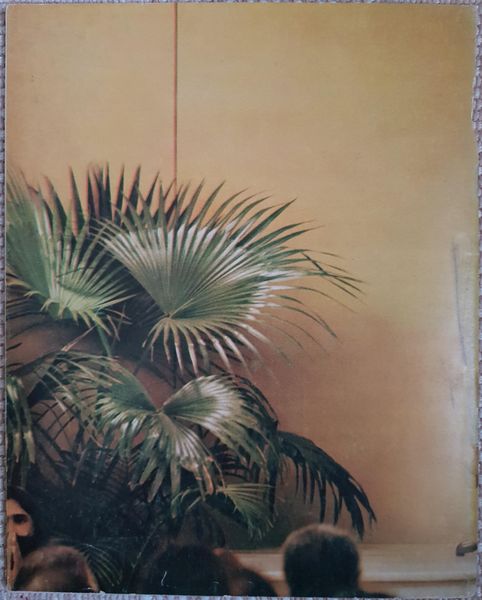 File:Sannyas Ind. mag. Jan-Feb 1980 back cover.jpg