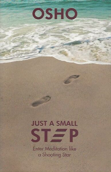 File:Just a Small Step - Cover.jpg