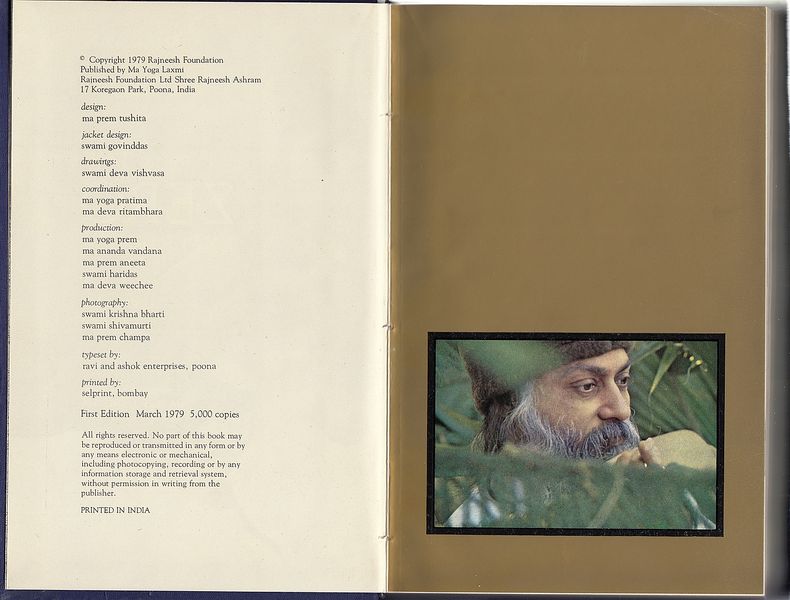 File:The Zero Experience ; Pages VIII - IX.jpg