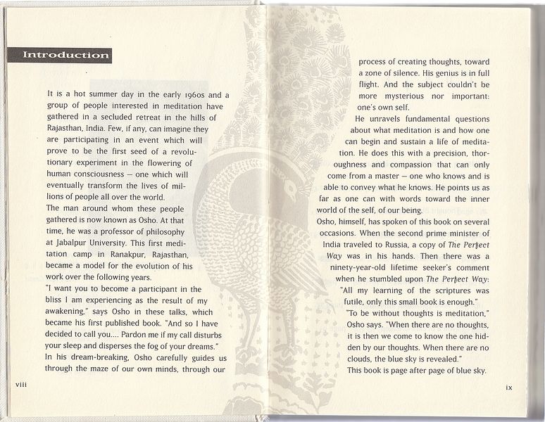 File:The Perfect Way (2001) ; Pages VIII - IX.jpg