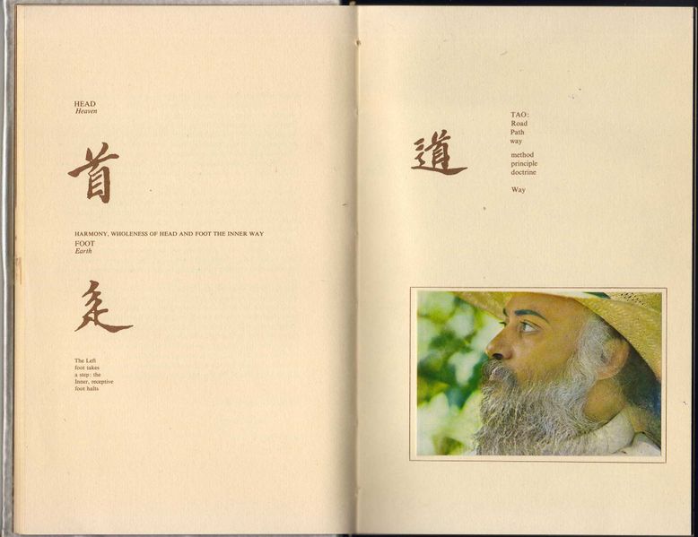 File:Tao, The Three Treasures Vol 1 - p.XVIII-XIX.jpg