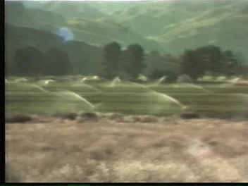File:Ranch Footage 02 (1982) ; still 34m 24s.jpg