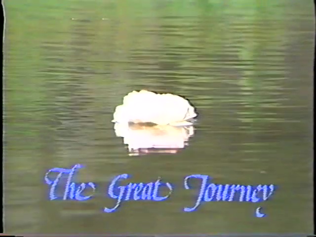 File:The Great Journey - Bhagwan Shree Rajneesh Coming from the East to the West (1982) ; still 02m 01s.jpg