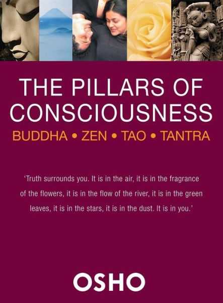 File:The Pillars of Consciousness (2014) - cover.jpg