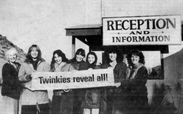File:Twinkies-1.png