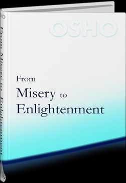 File:From Misery to Enlightenment (2014) - Cover.jpg