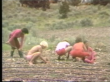 File:Ranch Footage 01 (1982) ; still 04m 25s.jpg