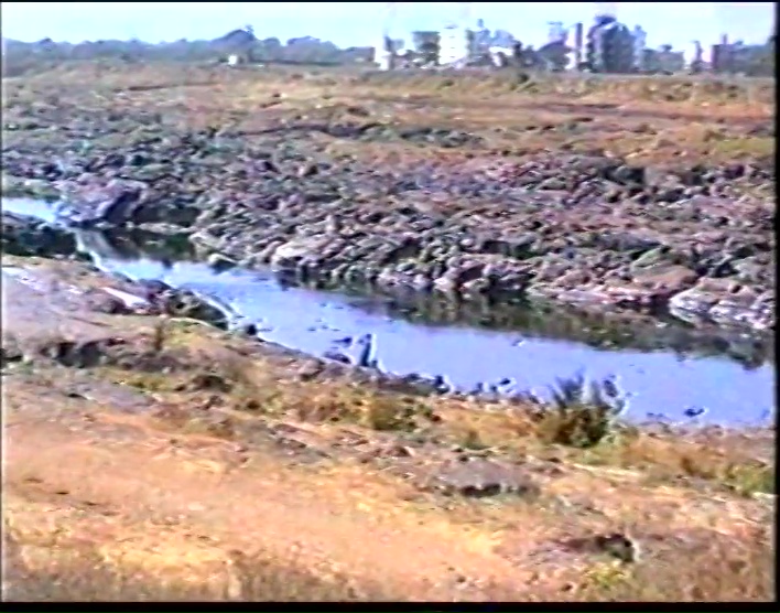 File:Poona 1988 And Beyond (1988) ; still 06m 39s.jpg