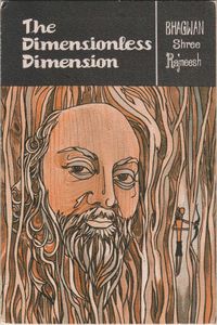 The Dimensionless Dimension - book cover.jpg