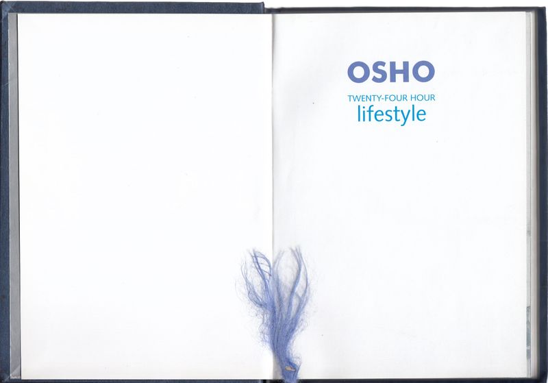 File:Diary Osho 2006 ; Title-page.jpg