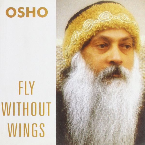 File:Fly Without Wings 2007 cover.jpg