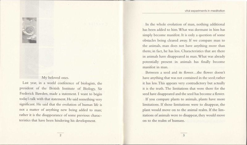 File:Nine Sutras 2006 p.2-3.jpg