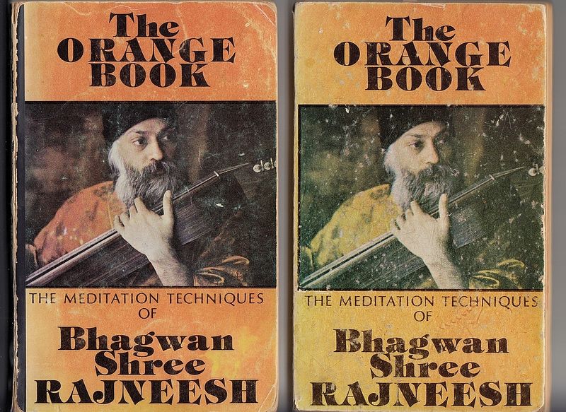 File:The Orange Book (1980) ; Cover-frontsides of Paperback and 'Hardcover'.jpg