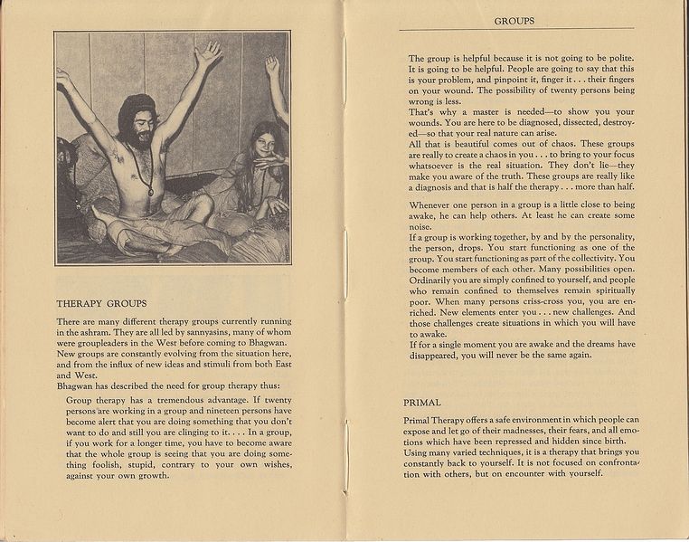 File:Bhagwan Shree Rajneesh (diaries) 1977 ; Pages 28 - 29.jpg