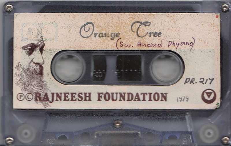 File:Orange Tree ; Tape.jpg