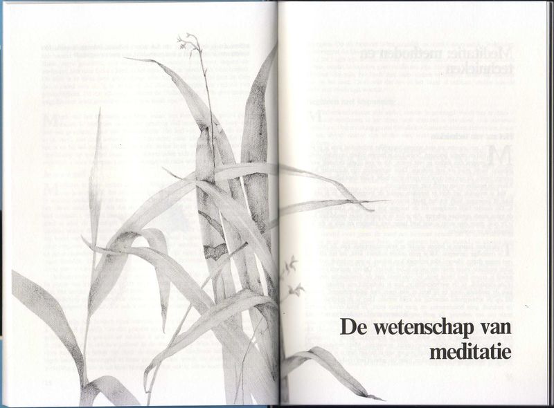 File:Meditatie, vrij zijn in het hier en nu- het handboek (1989) - p.24-25.jpg