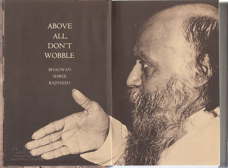 File:Above All Don't Wobble ; Pages VI - VII.jpg