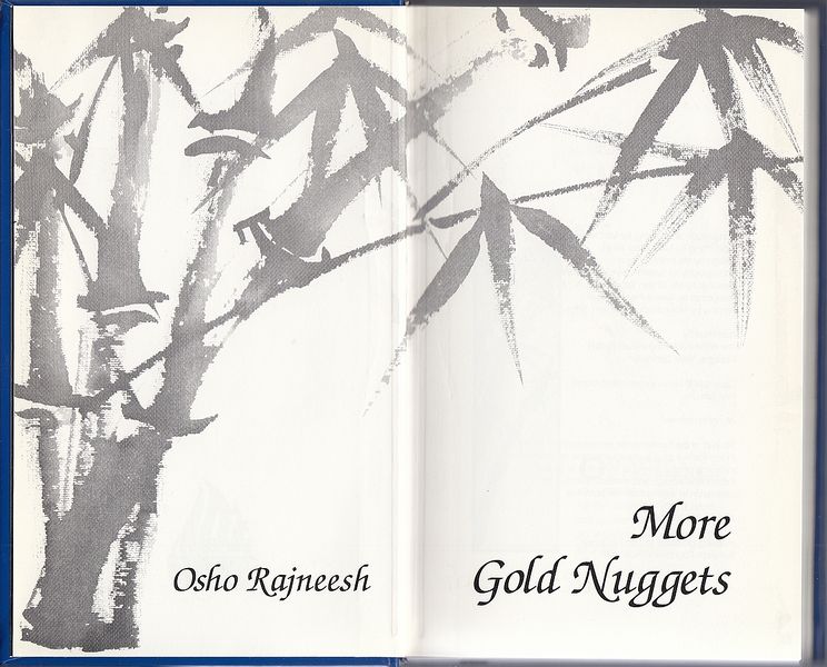 File:More Gold Nuggets ; Pages VI - VII.jpg