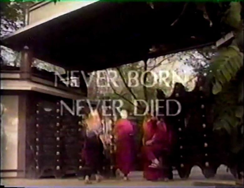 File:Never Born Never Died1.jpg