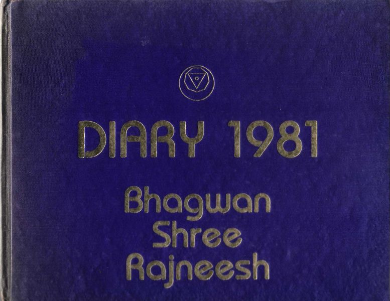 File:Diary 1981 Cover.jpg