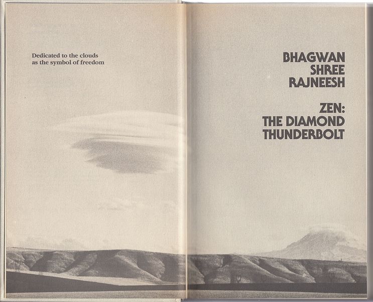 File:Zen, The Diamond Thunderbolt - Pages IV - V.jpg