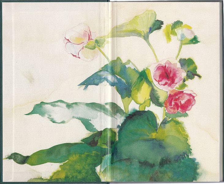 File:One Seed - Endpaper-front.jpg