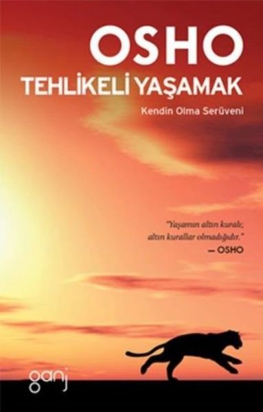 File:Tehlikeli Yaşamak - Turkish.jpg