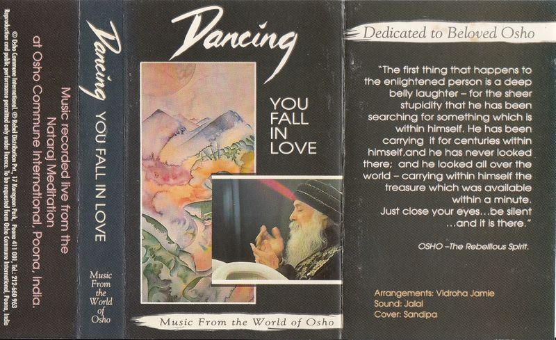 File:Dancing You Fall in Love (RDP) ; Cover.jpg