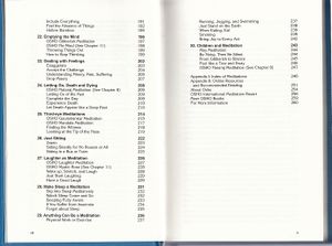 Pages VIII - IX: table of contents.