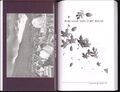 Thumbnail for File:I Leave You My Dream (Osho Memoirs)&#160;; p.118.2 - 119.jpg