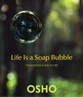 Thumbnail for File:Book cover - Life Is a Soap Bubble.jpg