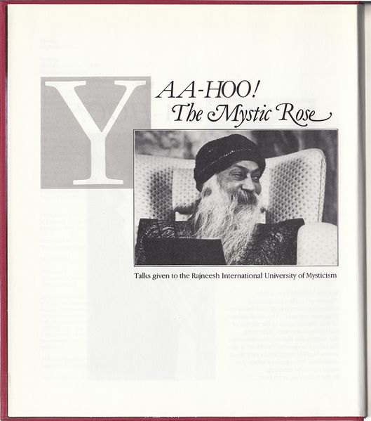 File:YAA-HOO (1988) - Page VIII.jpg