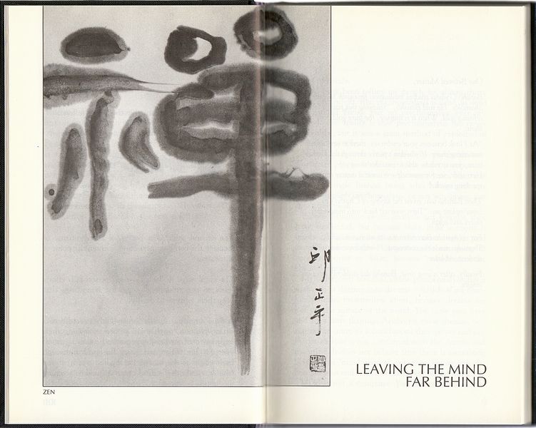 File:Zen, The Mystery - Pages XIV - 1.jpg
